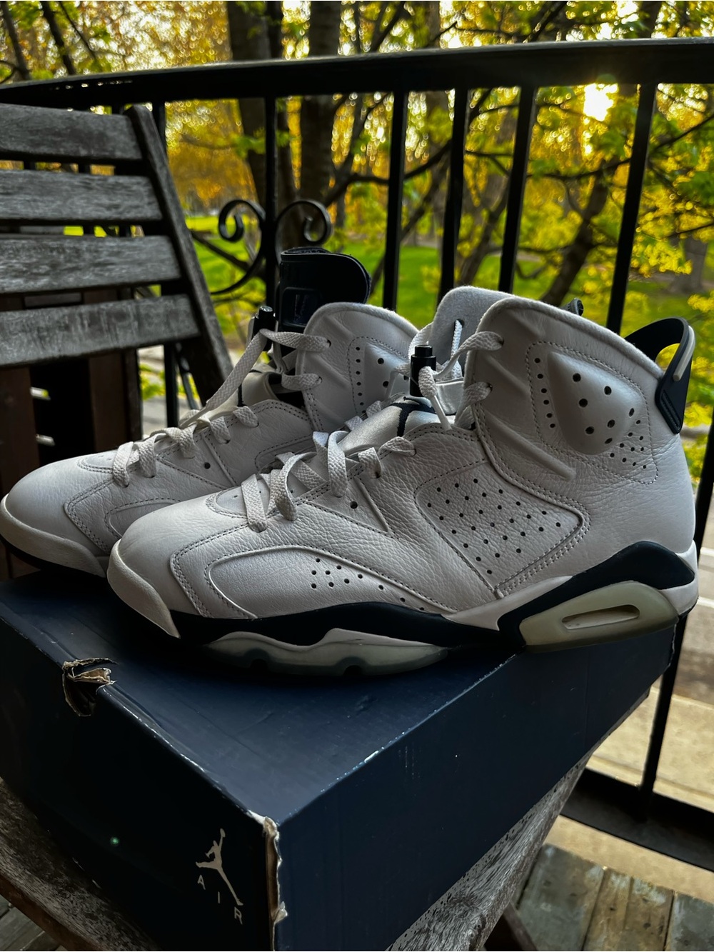 Jordan Air Jordan 6 Retro White/Navy Box Label